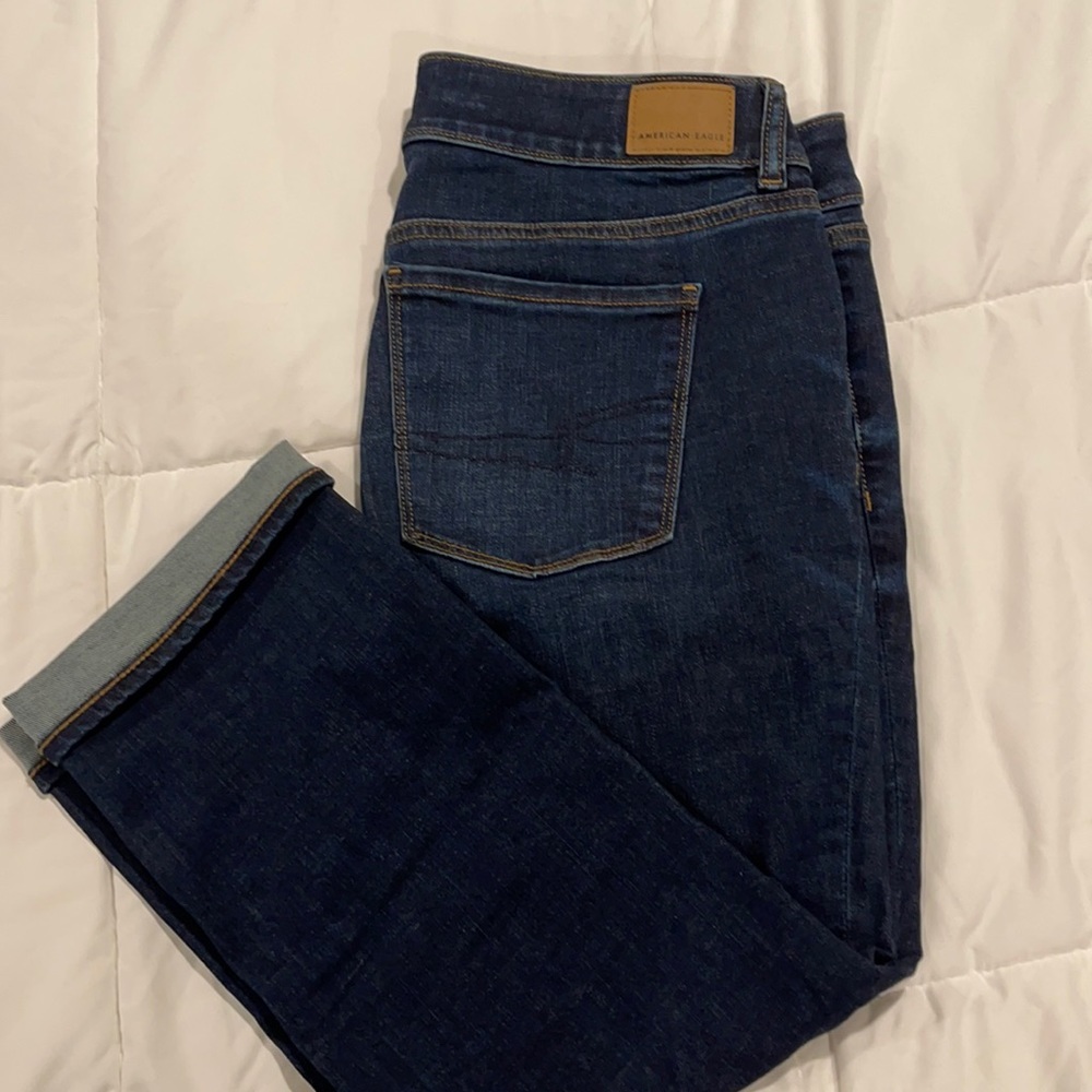 American Eagle Artist Crop Jeans